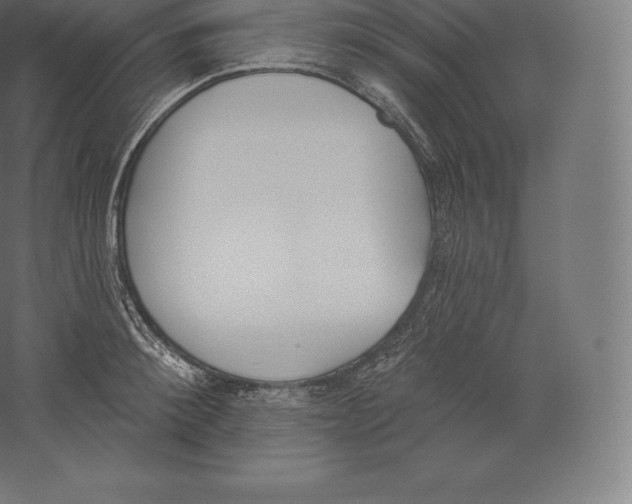 X0000060270900200511241451