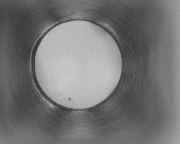 X0000060270902200511241451