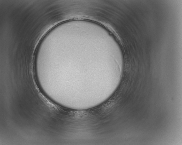 X0000060270903200511241451