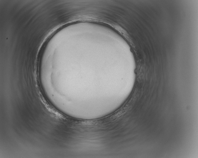 X0000060270904200511241451