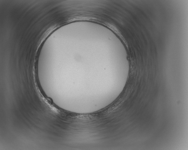 X0000060270906200511241451