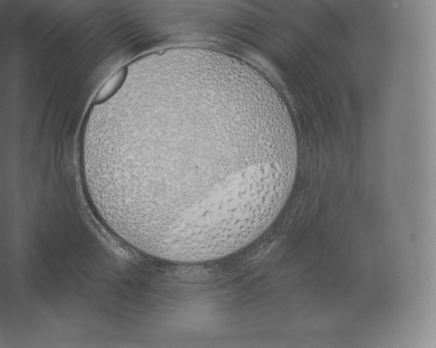 X0000060270907200511241451