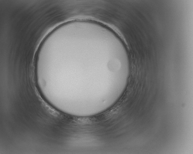 X0000060270911200511241451