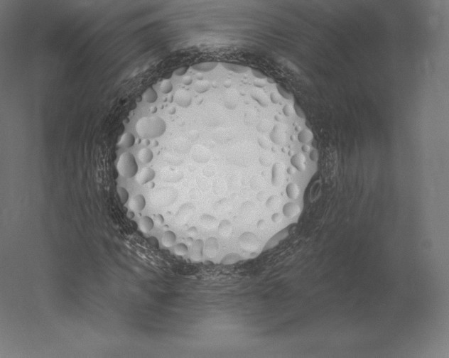 X0000060270917200511241450