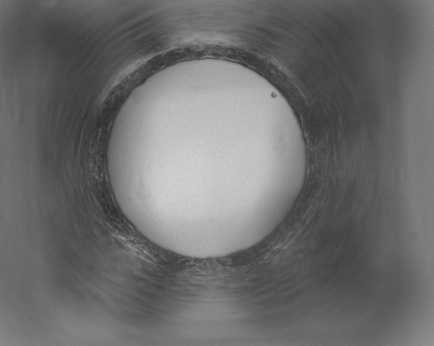 X0000060270919200511241450