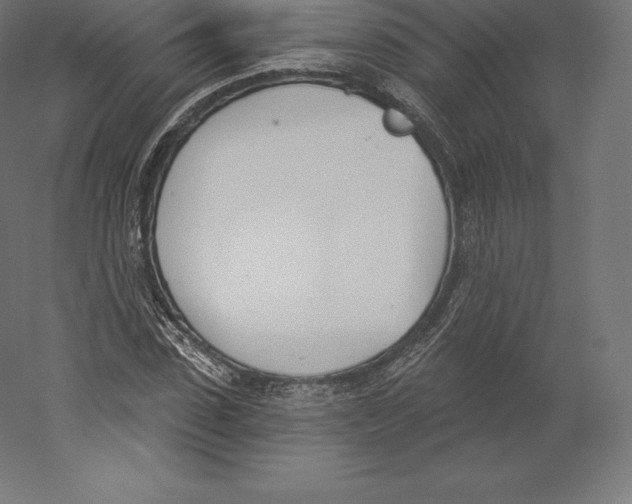 X0000060270923200511241450