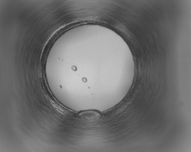 X0000060270924200511241450