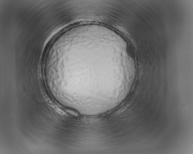 X0000060270928200511241450