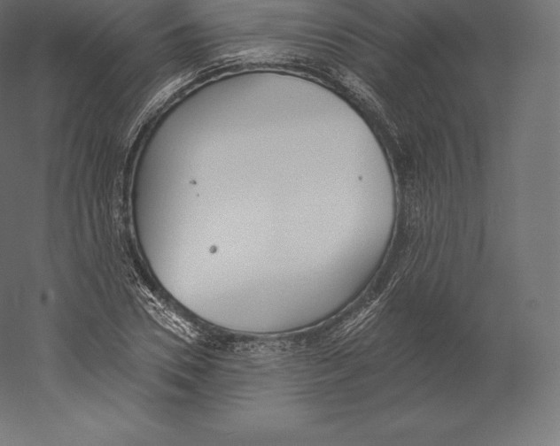 X0000060270930200511241450