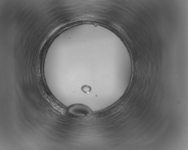 X0000060270931200511241450