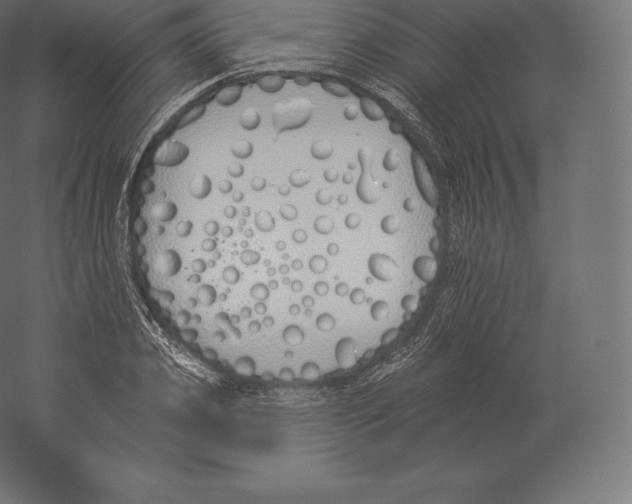 X0000060270933200511241450