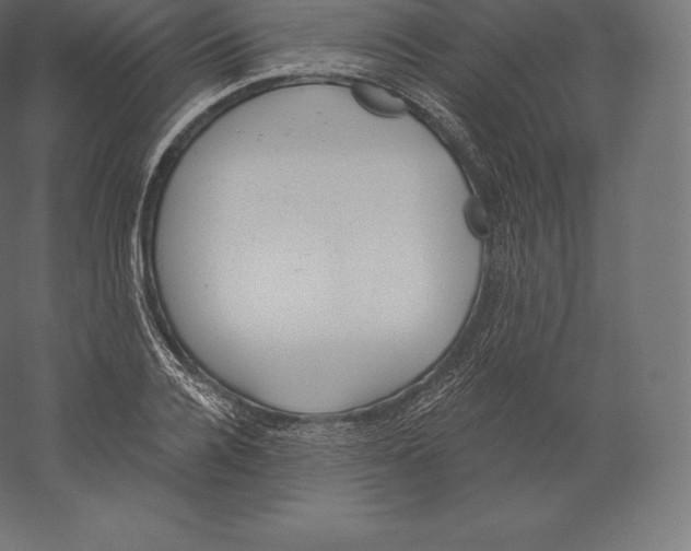 X0000060270936200511241450