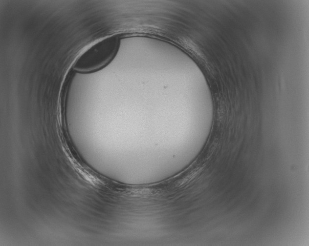 X0000060270940200511241450