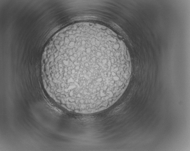 X0000060270945200511241450