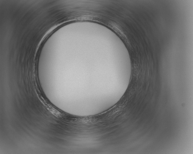 X0000060270948200511241451