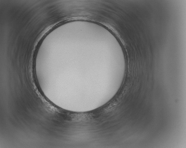 X0000060270949200511241451