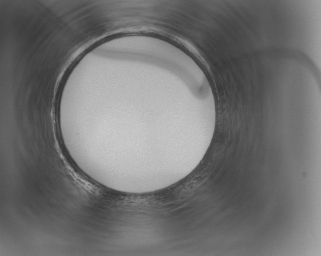 X0000060270951200511241451