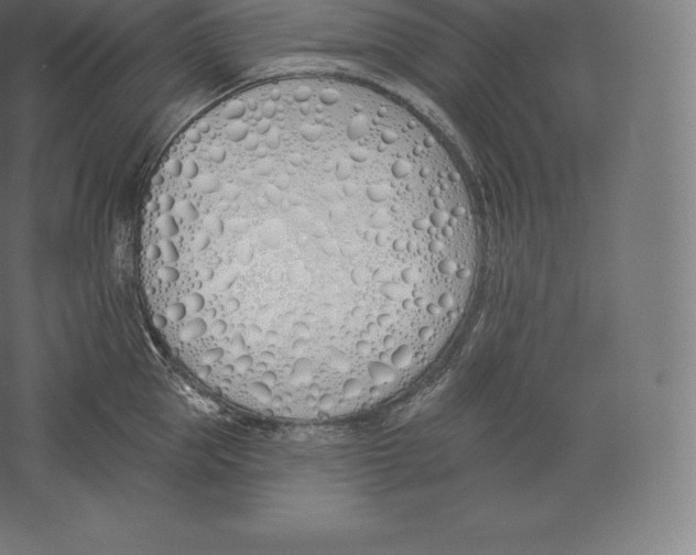 X0000060270953200511241451