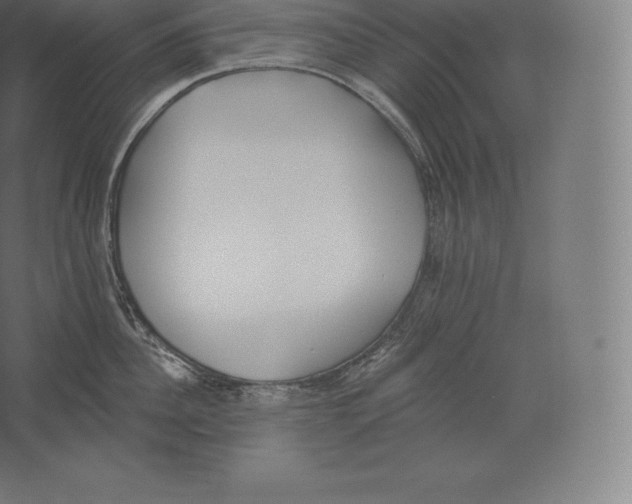 X0000060270956200511241451