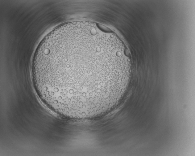 X0000060270957200511241451