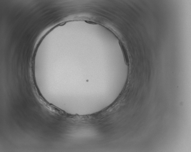 X0000060270960200511241451