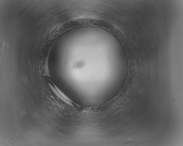 X0000060270965200511241450