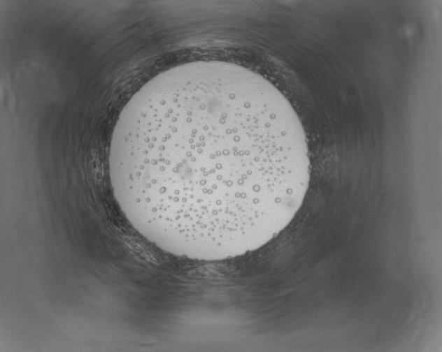 X0000060270966200511241450