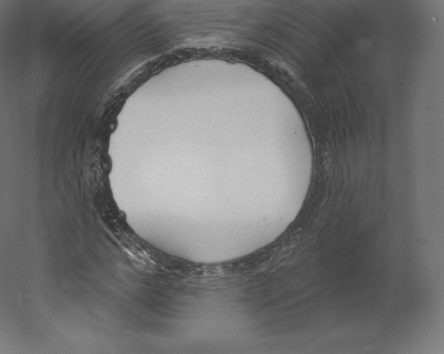 X0000060270968200511241450