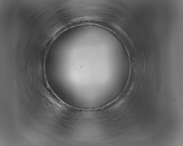 X0000060270969200511241450