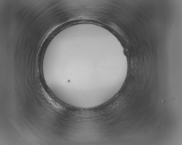 X0000060270972200511241450