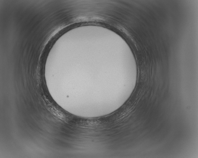 X0000060270975200511241450