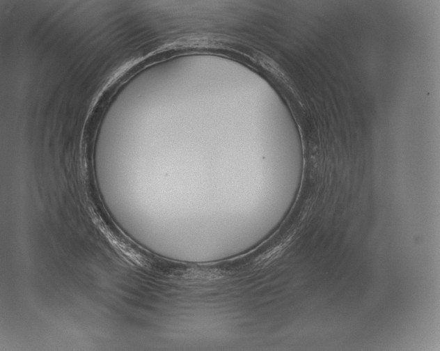 X0000060270981200511241450