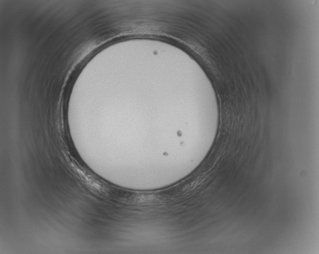 X0000060270982200511241450