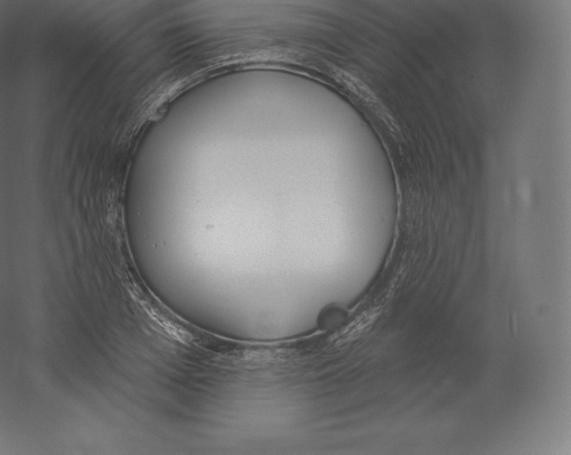 X0000060270985200511241450