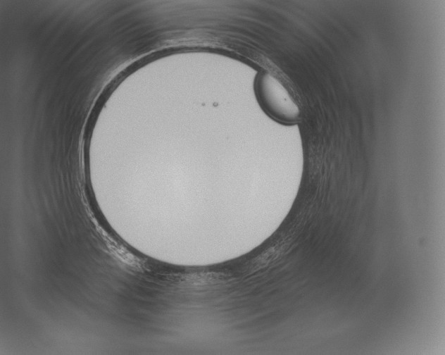 X0000060270988200511241449