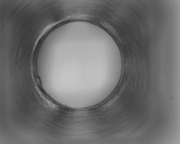 X0000060270989200511241449