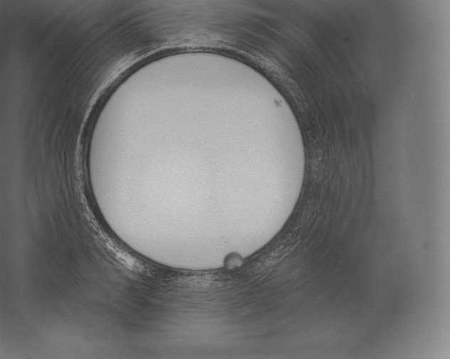 X0000060270990200511241449