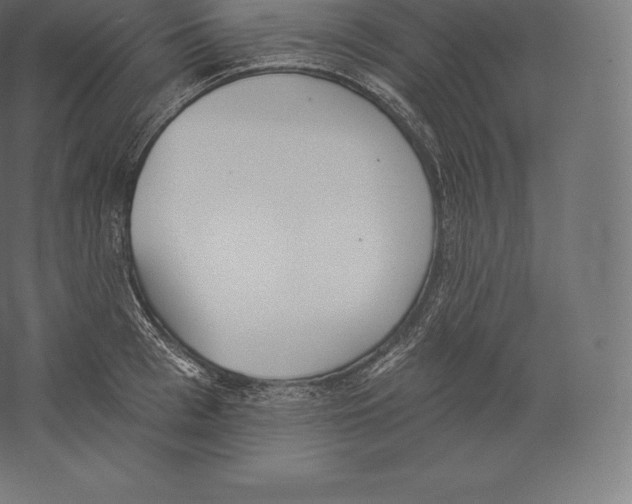 X0000060270993200511241449