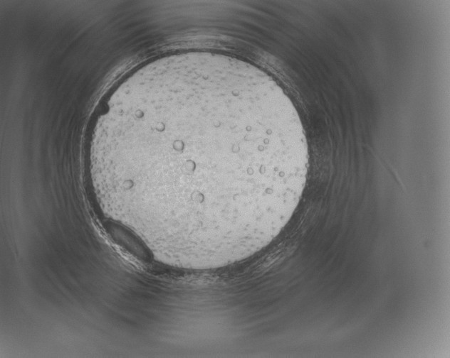 X0000060270994200511241449