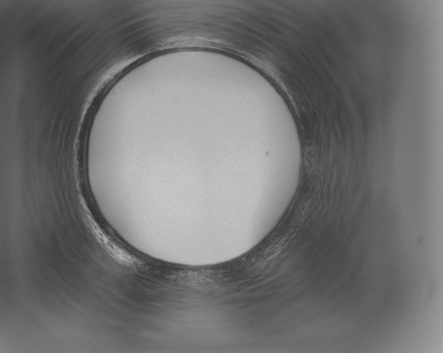 X0000060270995200511241449