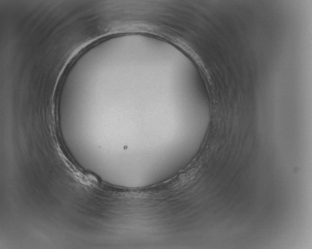 X0000060270996200511241449