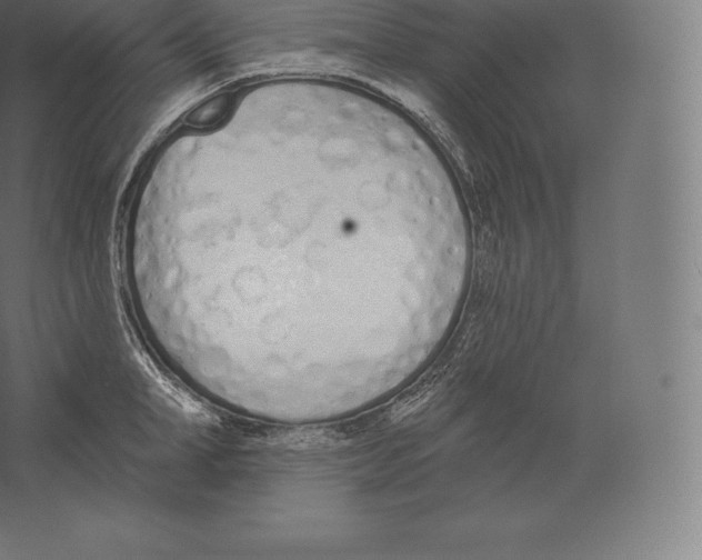 X0000060270998200511241449