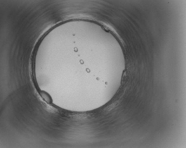 X0000060270999200511241449