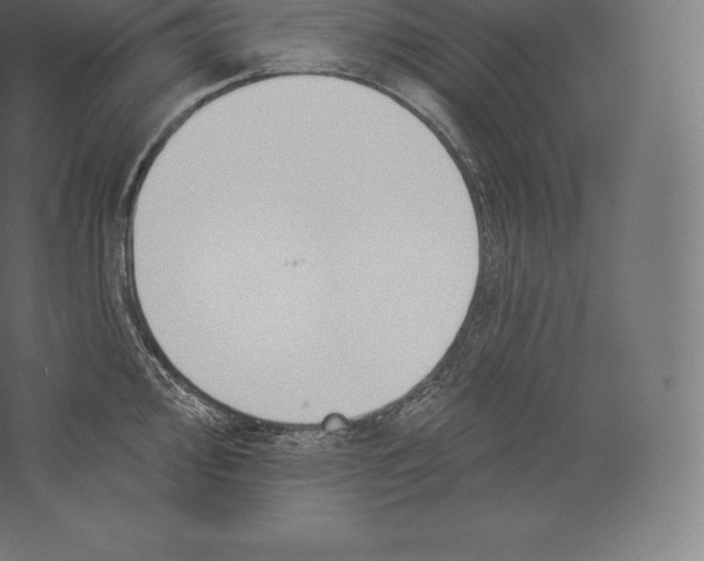 X0000060271000200511241449