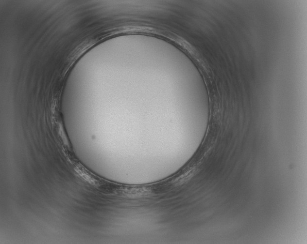 X0000060271001200511241449