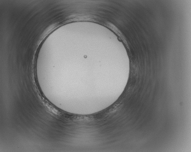 X0000060271002200511241449