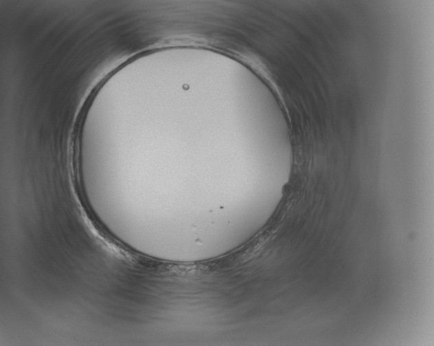 X0000060271003200511241449