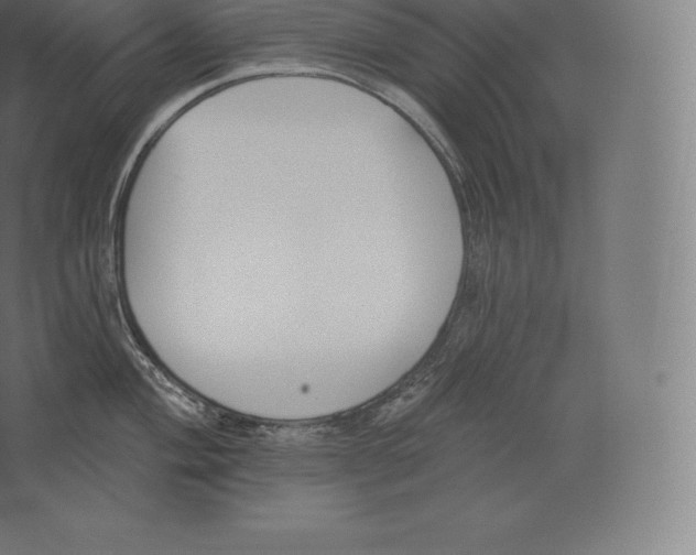 X0000060271004200511241449