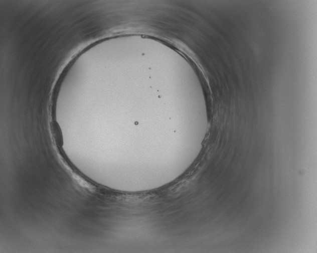 X0000060271005200511241449