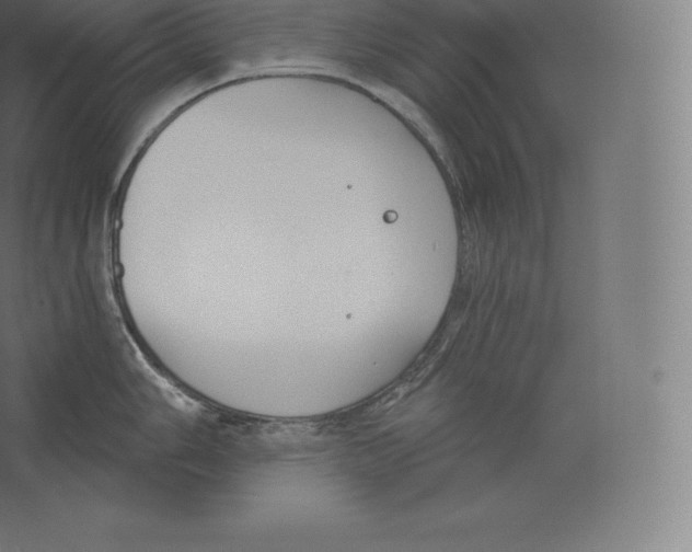 X0000060271006200511241449